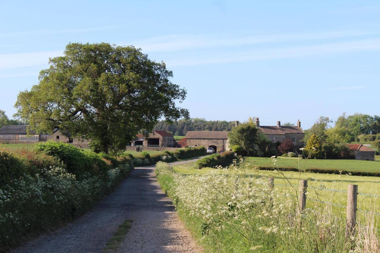 Mallard Grange B&B Ripon Exteriör bild